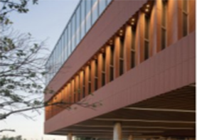 Emmett all-body board series